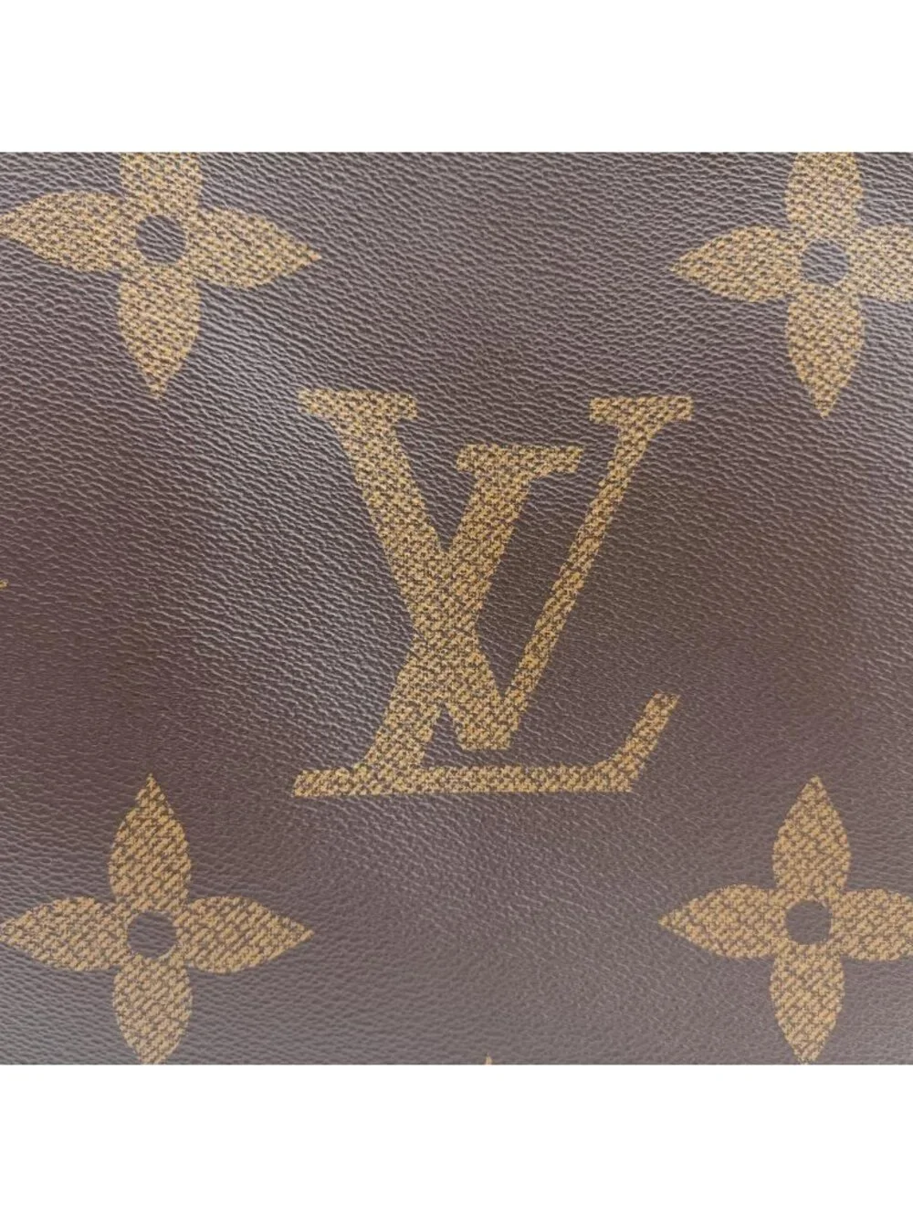 Louis Vuitton on the Go GM Monogram Brown Canvas Tote